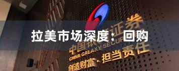 拉美市场深度：回购